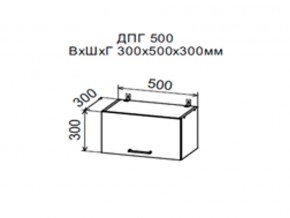 Шкаф верхний ДПГ500 горизонтальный в Златоусте - zlatoust.магазин96.com | фото