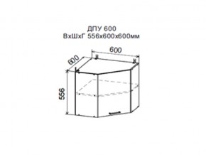 Шкаф верхний ДПУ600 угловой в Златоусте - zlatoust.магазин96.com | фото